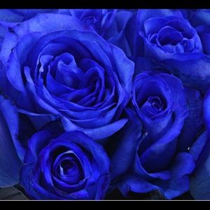 Meet your Posher, Kylie